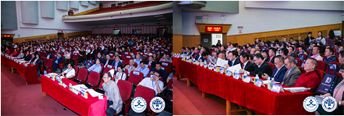 663732518675547602.png 663732518675547602.png