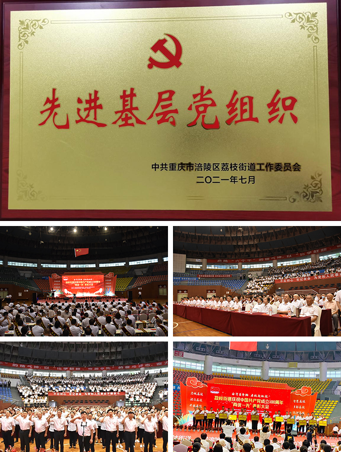 涪陵-黨日活動07.jpg 涪陵-黨日活動07.jpg